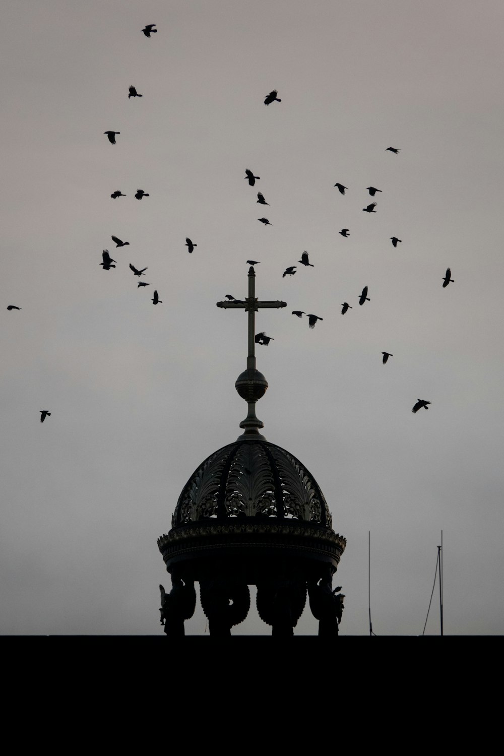 a group of birds flying over a domed building