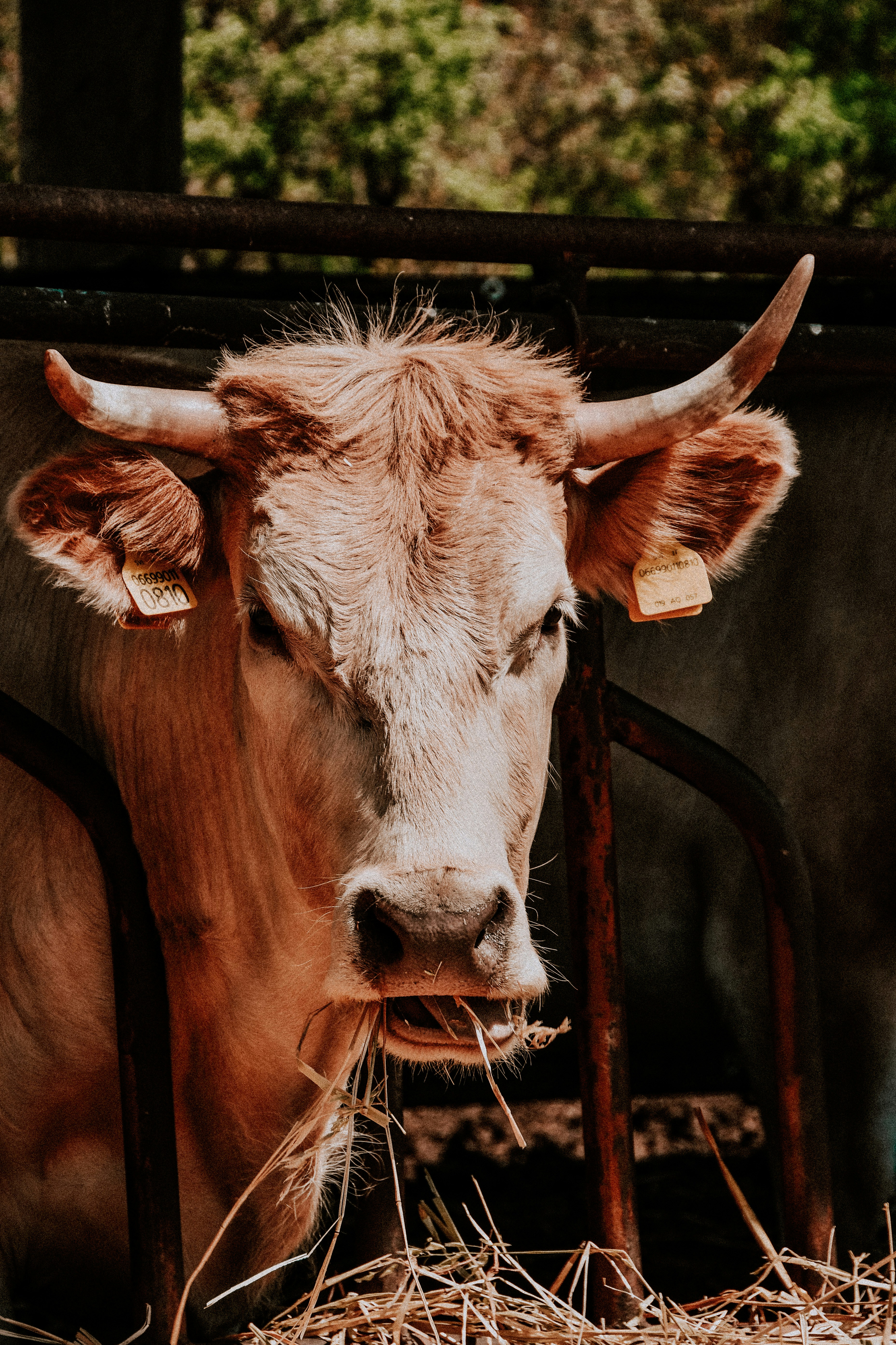 Photo by ldphotozone