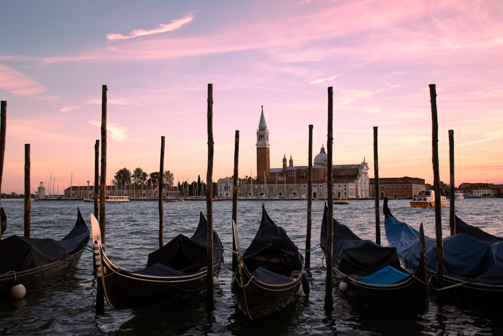 a group of boats in a body of water