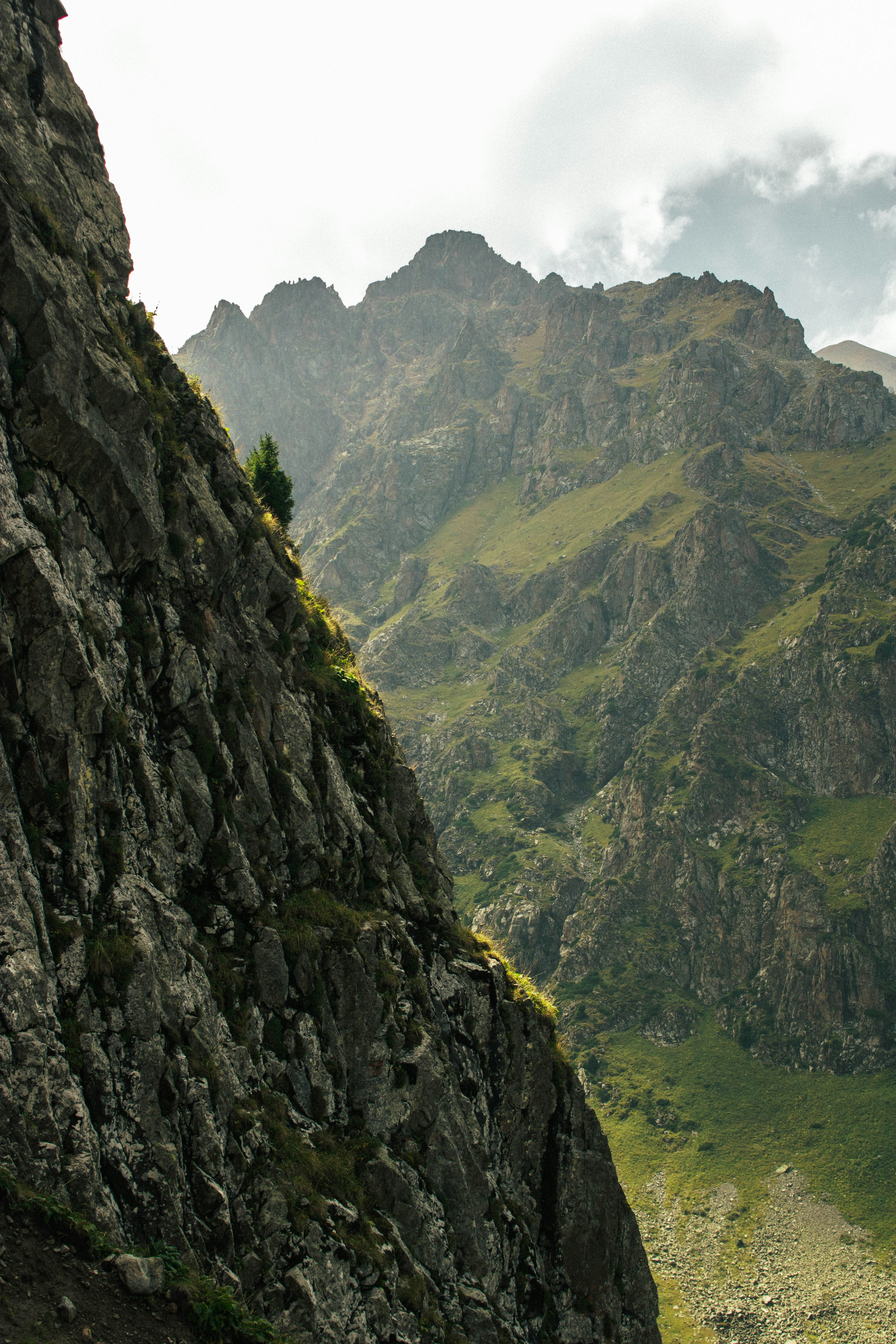 Photo by carpediem_ann