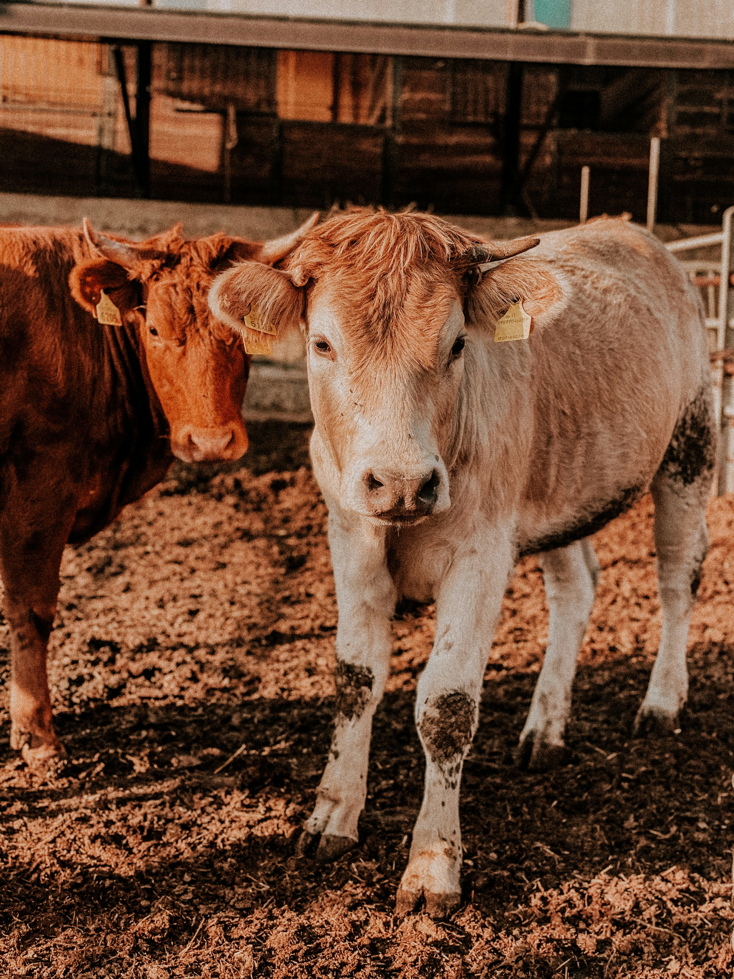 Photo by ldphotozone