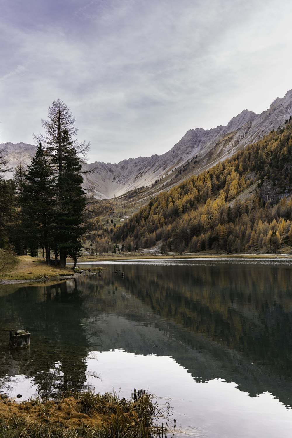 a lake surrounded by trees and mountains