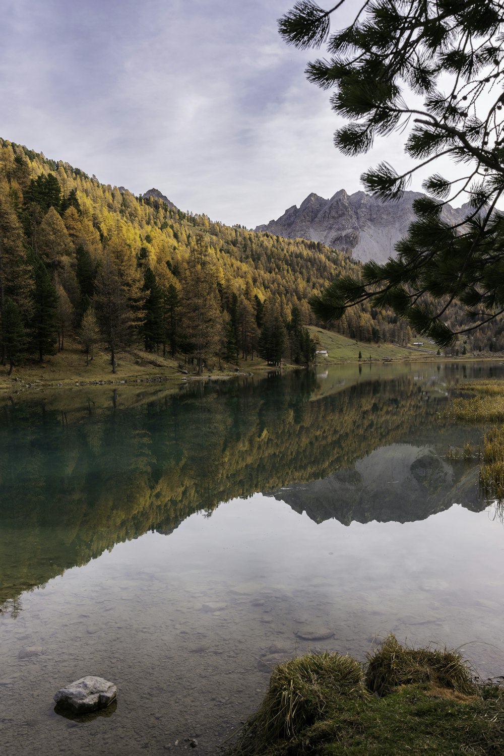 a lake surrounded by trees and mountains