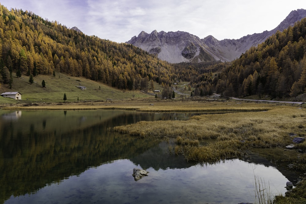 a lake surrounded by mountains and trees