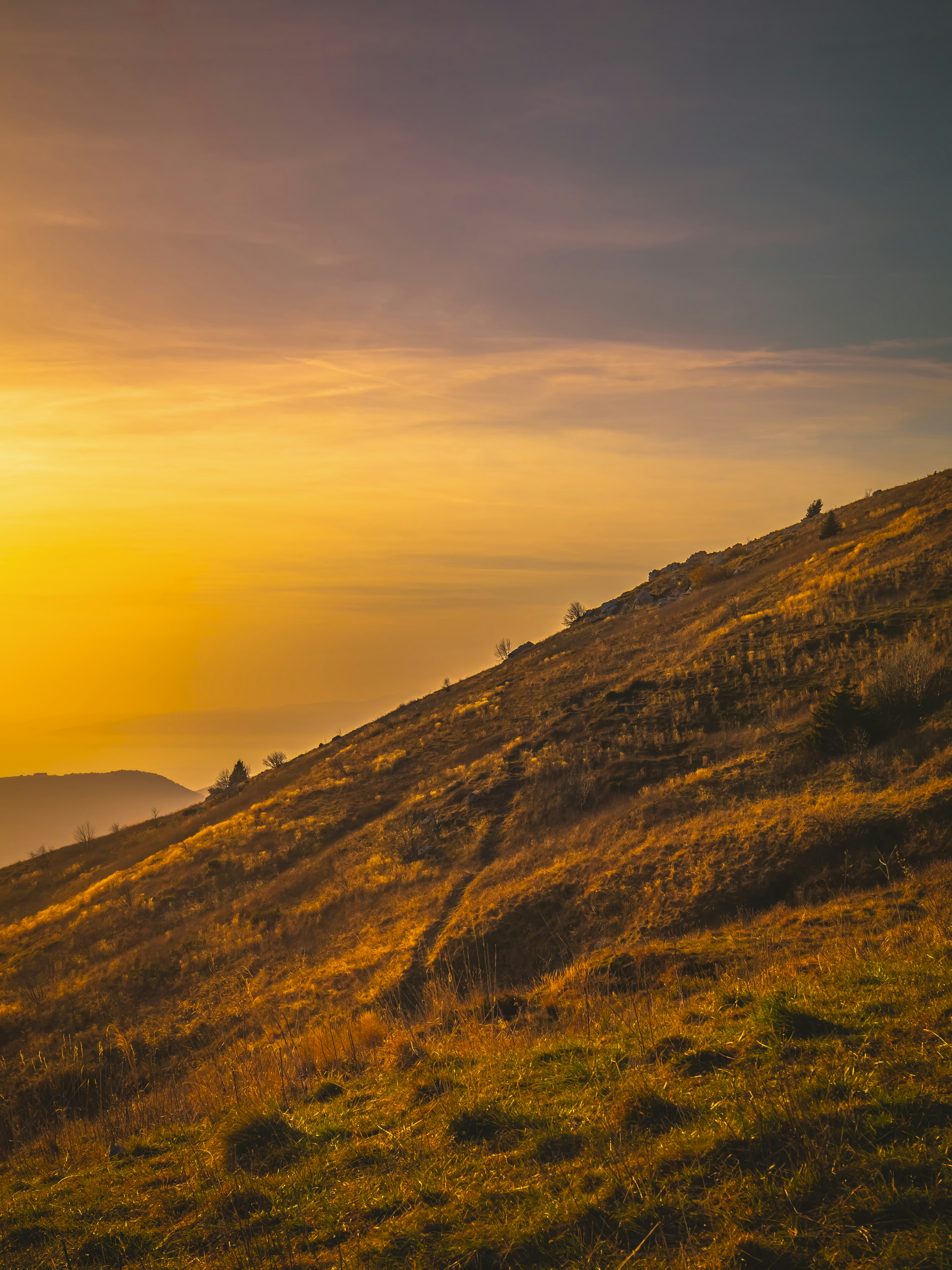 Photo by merlin_photo