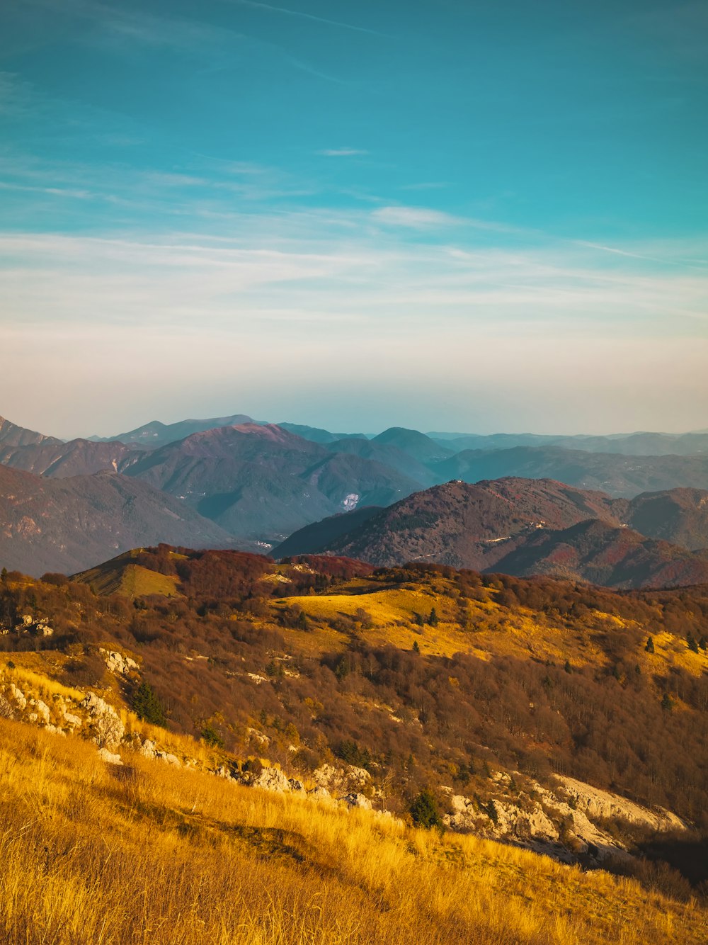 a landscape with hills and trees