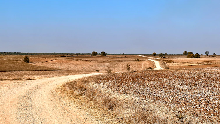 A sunlit red dirt road winding through the vast Australian outback under a bright blue sky.