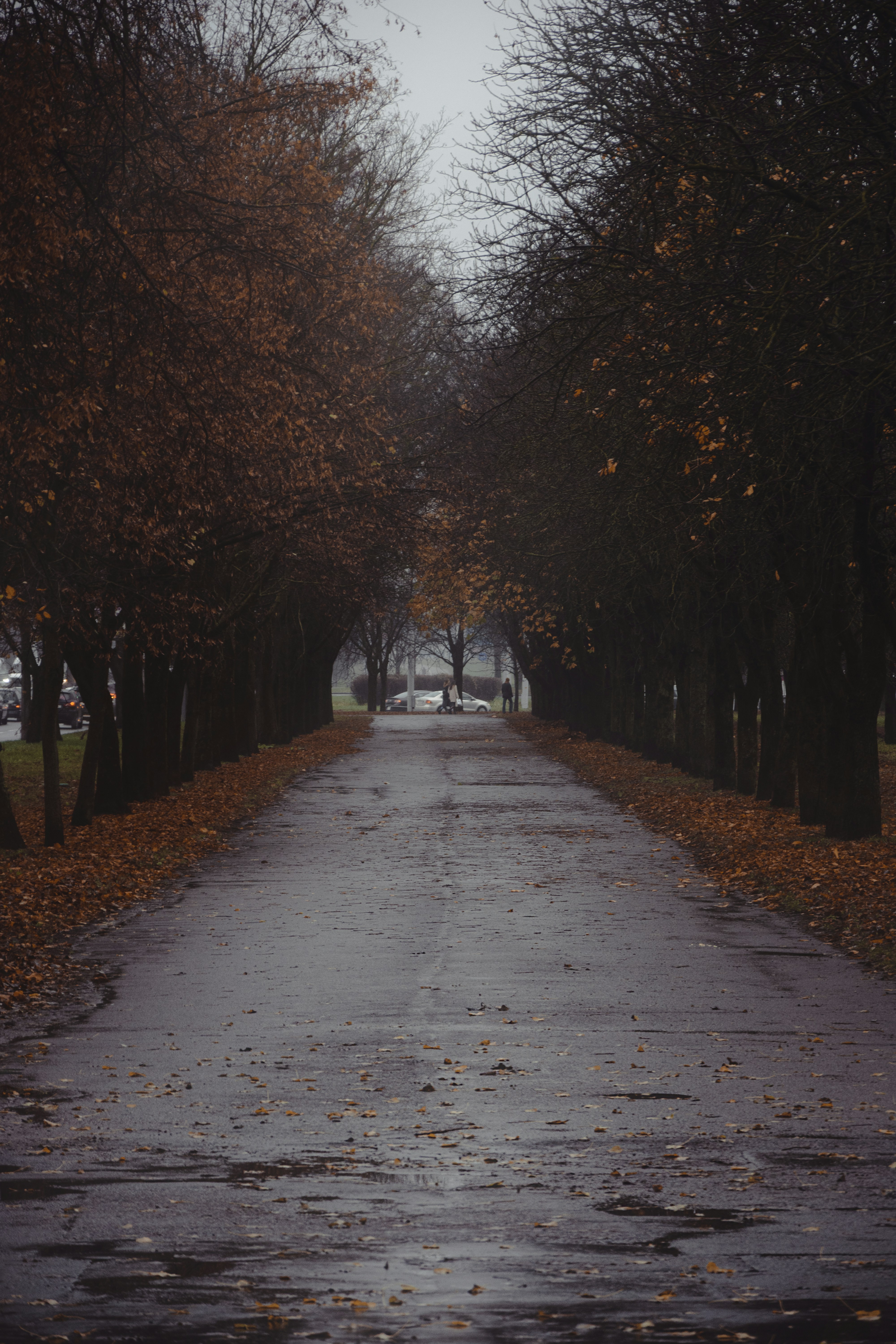 Photo by eadutskevich