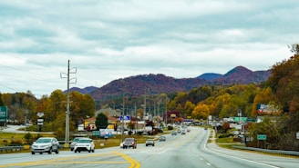 a road with cars on it and trees on the side