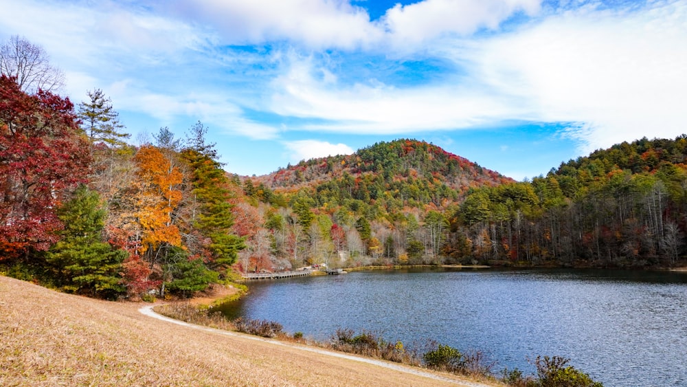 a body of water with trees around it and a hill in the back