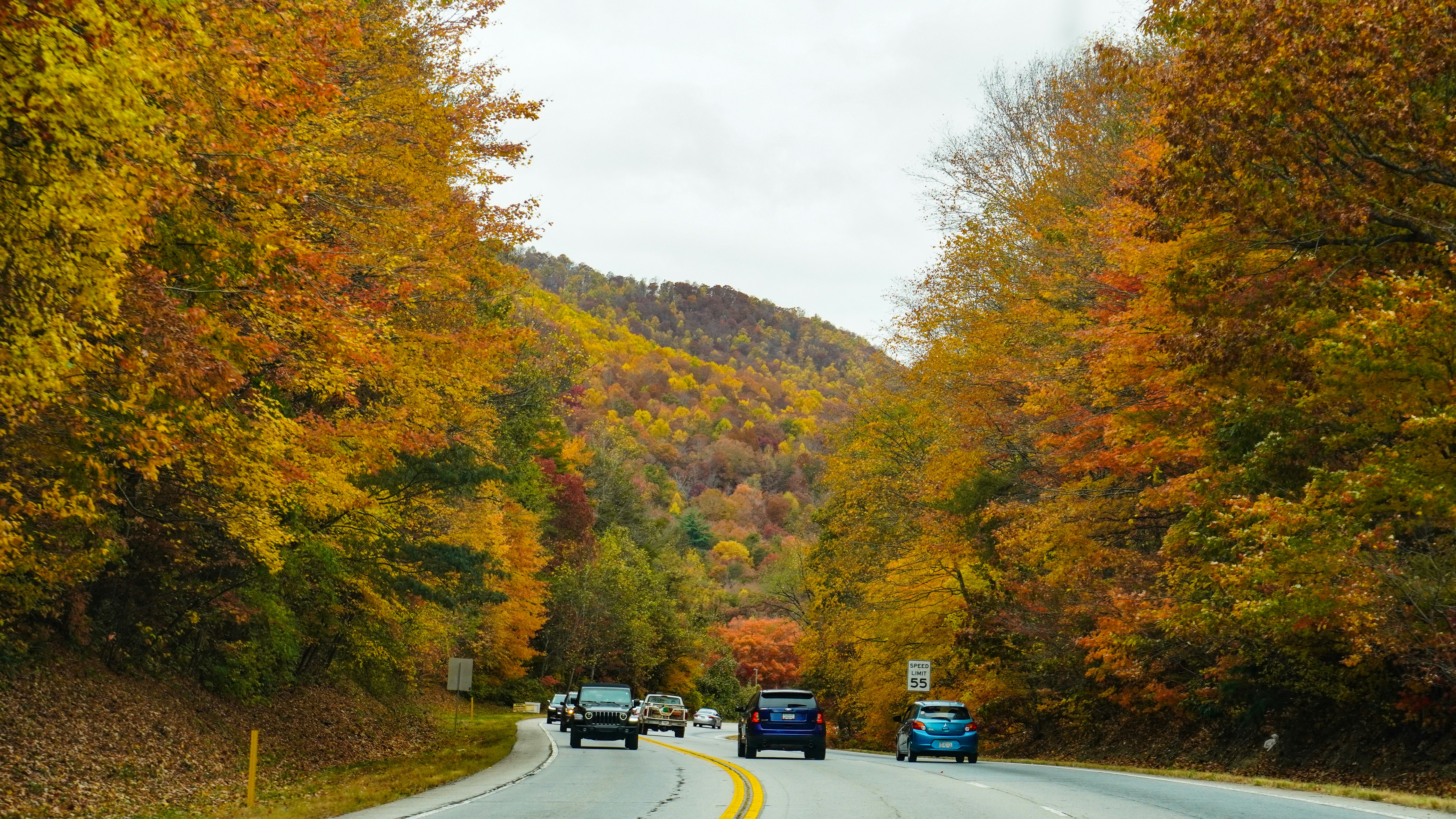 a road with cars on it and trees on the side