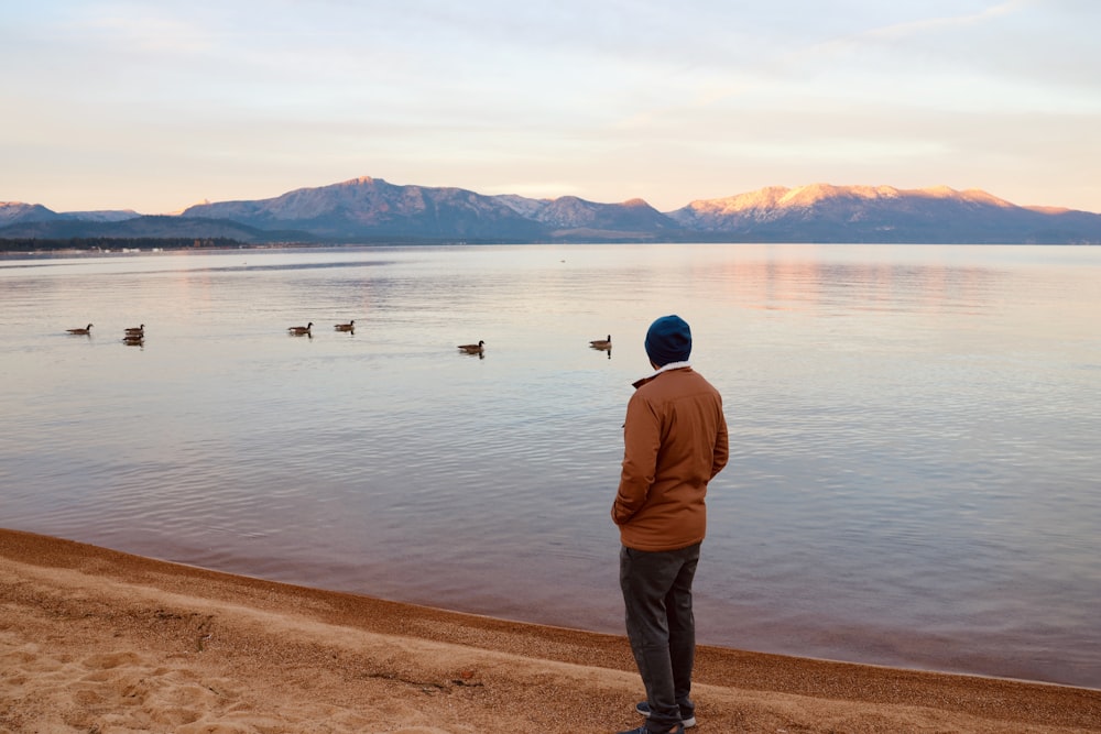 a man standing on a beach looking at ducks in the water