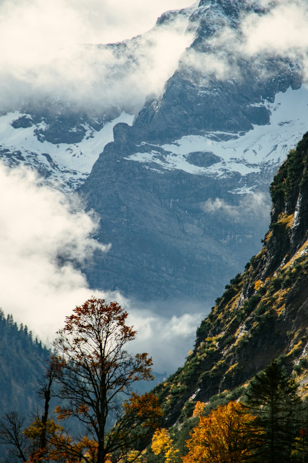 a mountain with clouds and trees