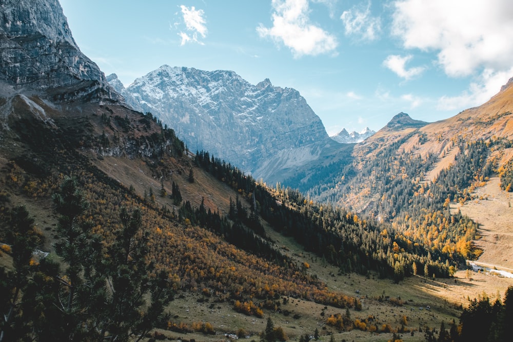 a valley between mountains