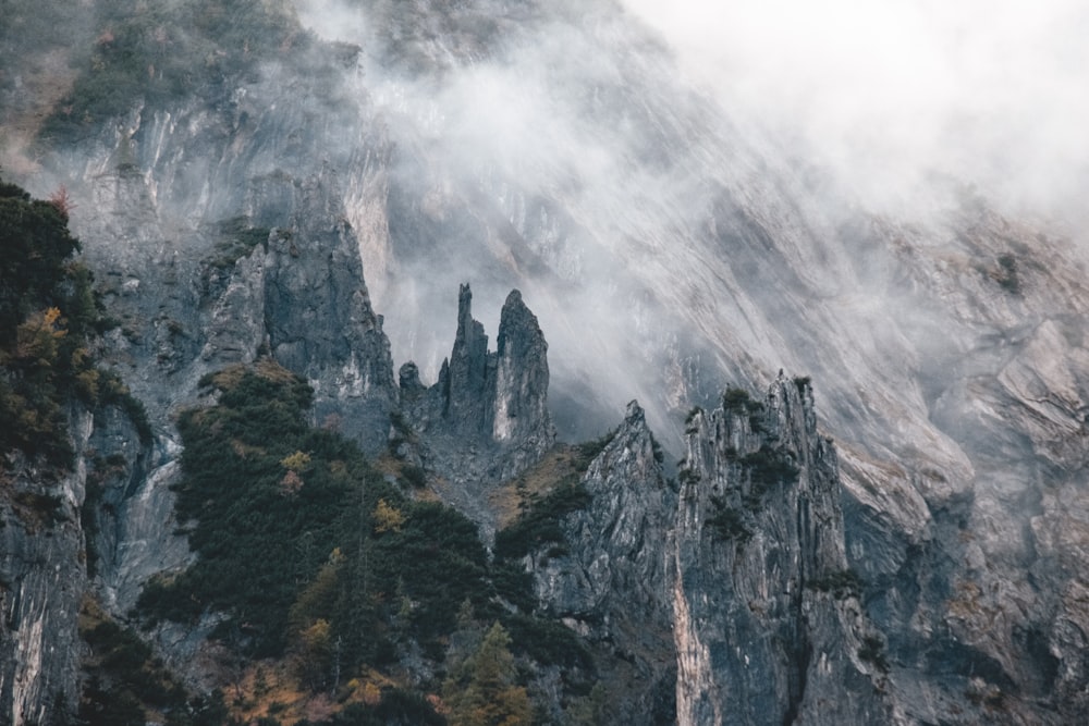 a rocky mountain with trees