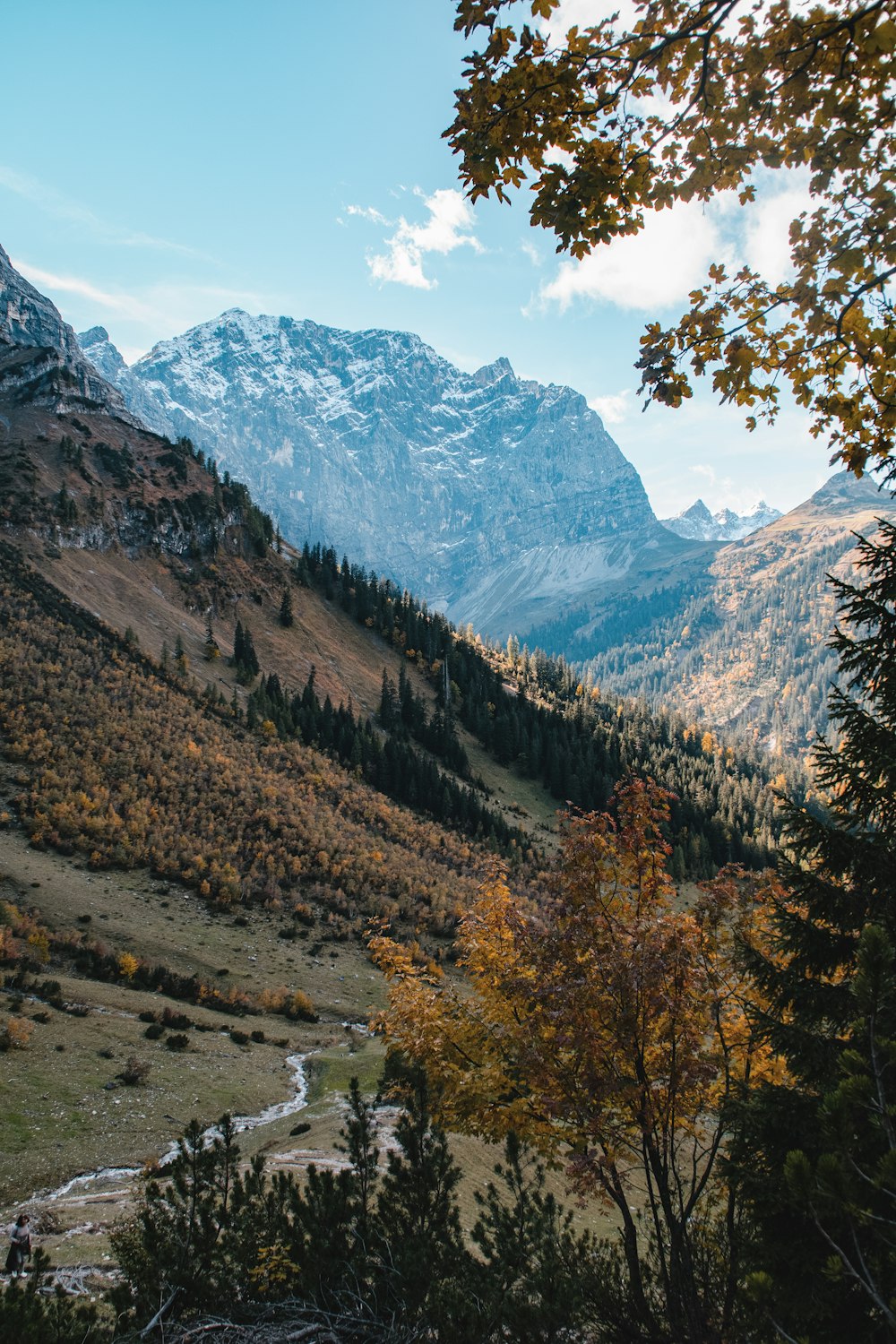 a valley with trees and mountains in the background