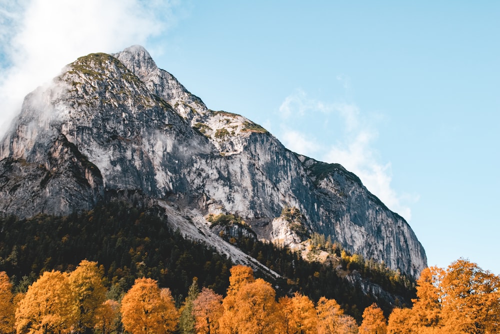 a mountain with trees below