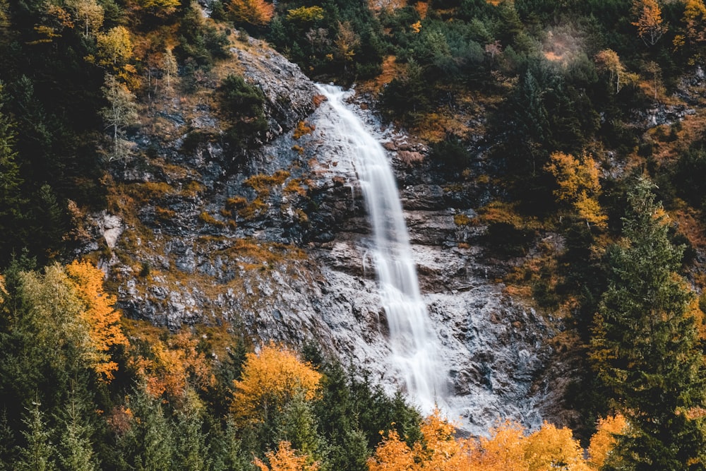 a waterfall in a forest