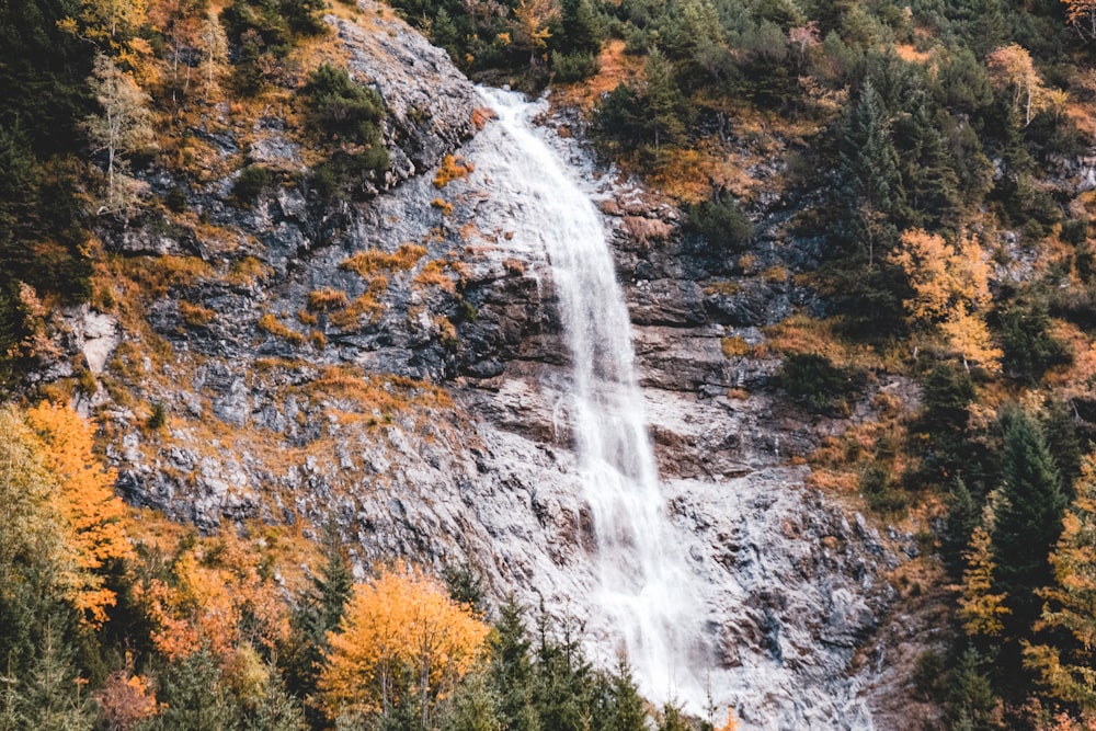 a waterfall in a forest