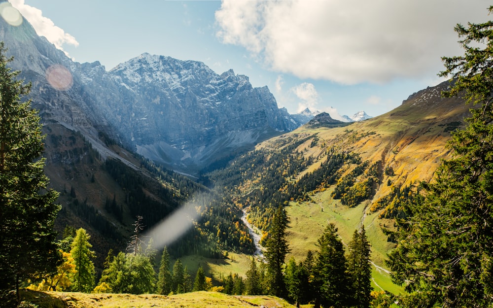 a valley between mountains with trees