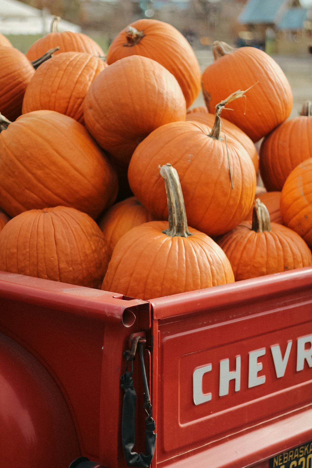 a group of pumpkins in a red crate