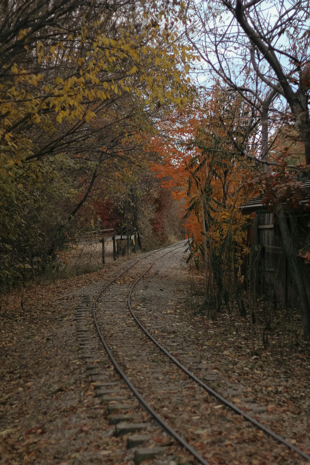 a railroad track with trees on either side of it