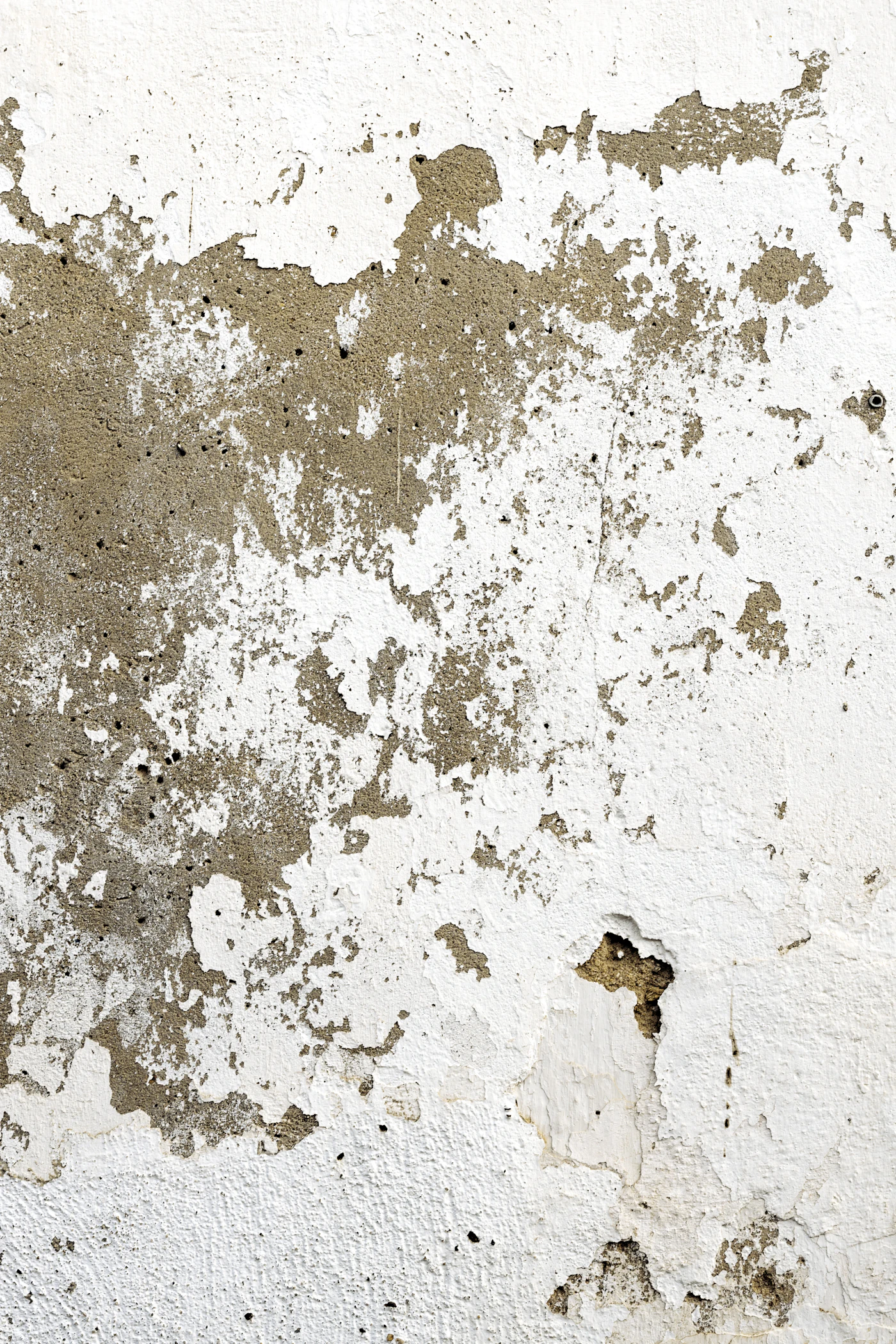 Close-up of mould on an interior wall, illustrating a damp and mould repair issue.