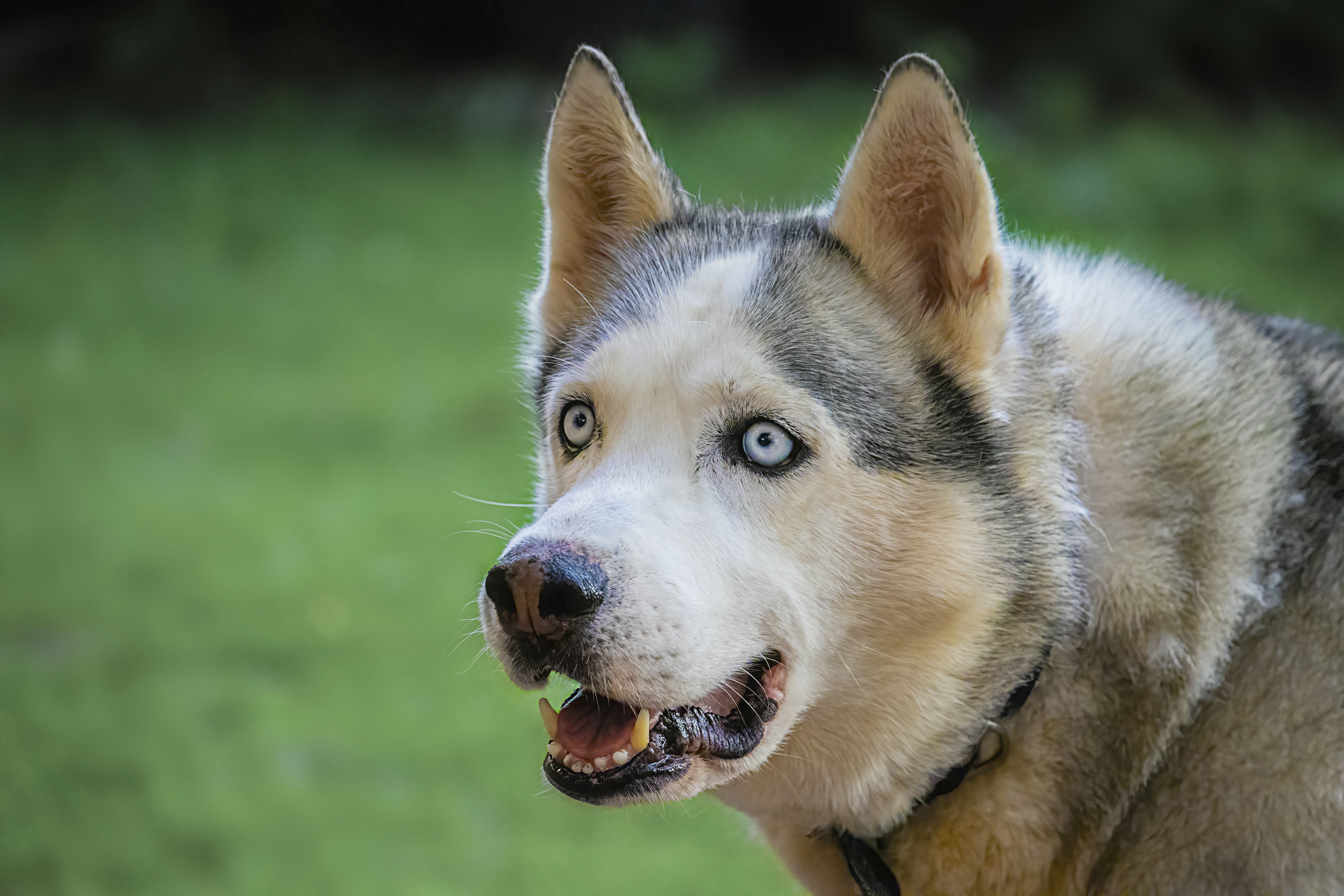 Photo by hicarodecastro