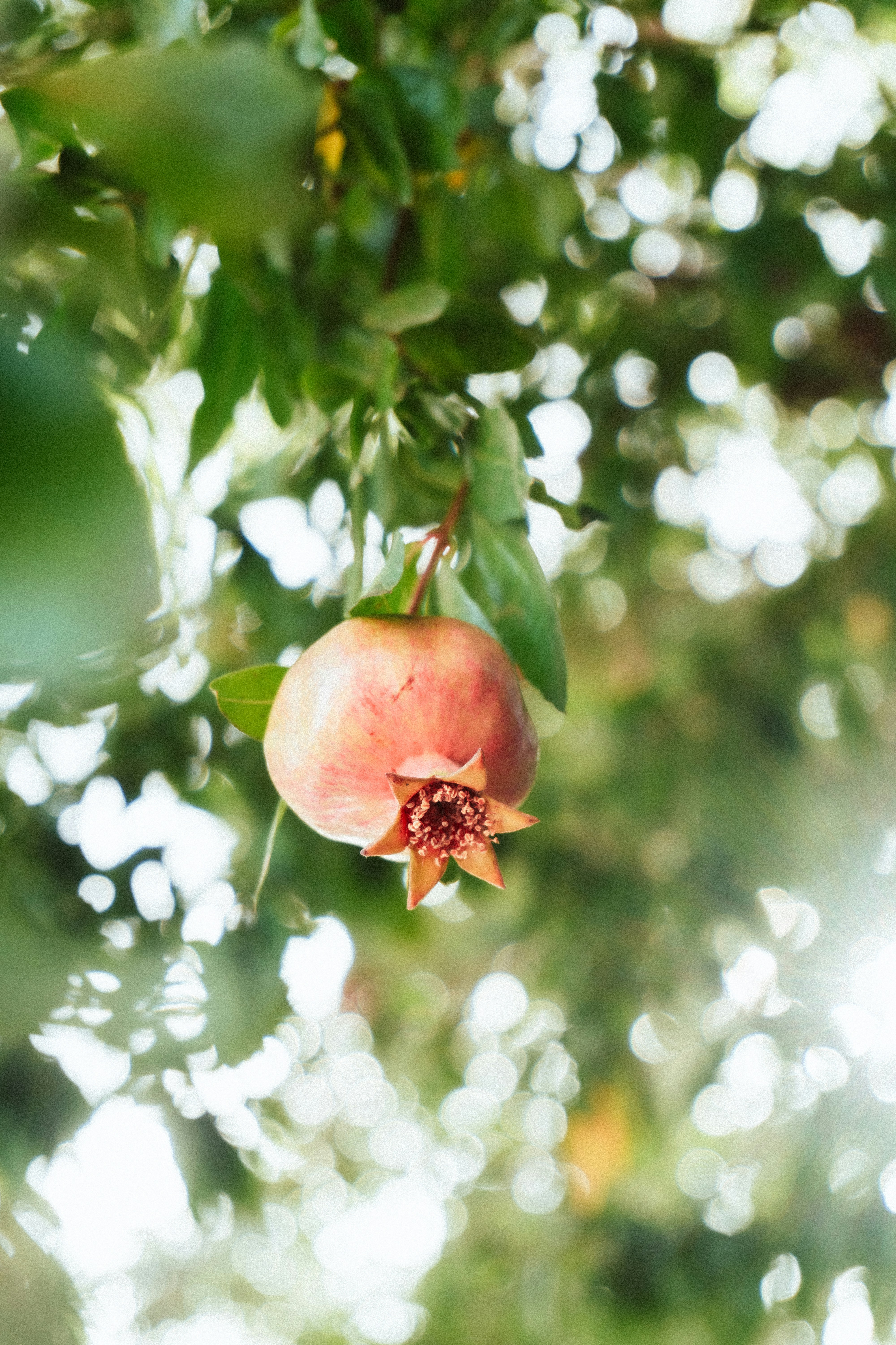 Photo by jurgendekker