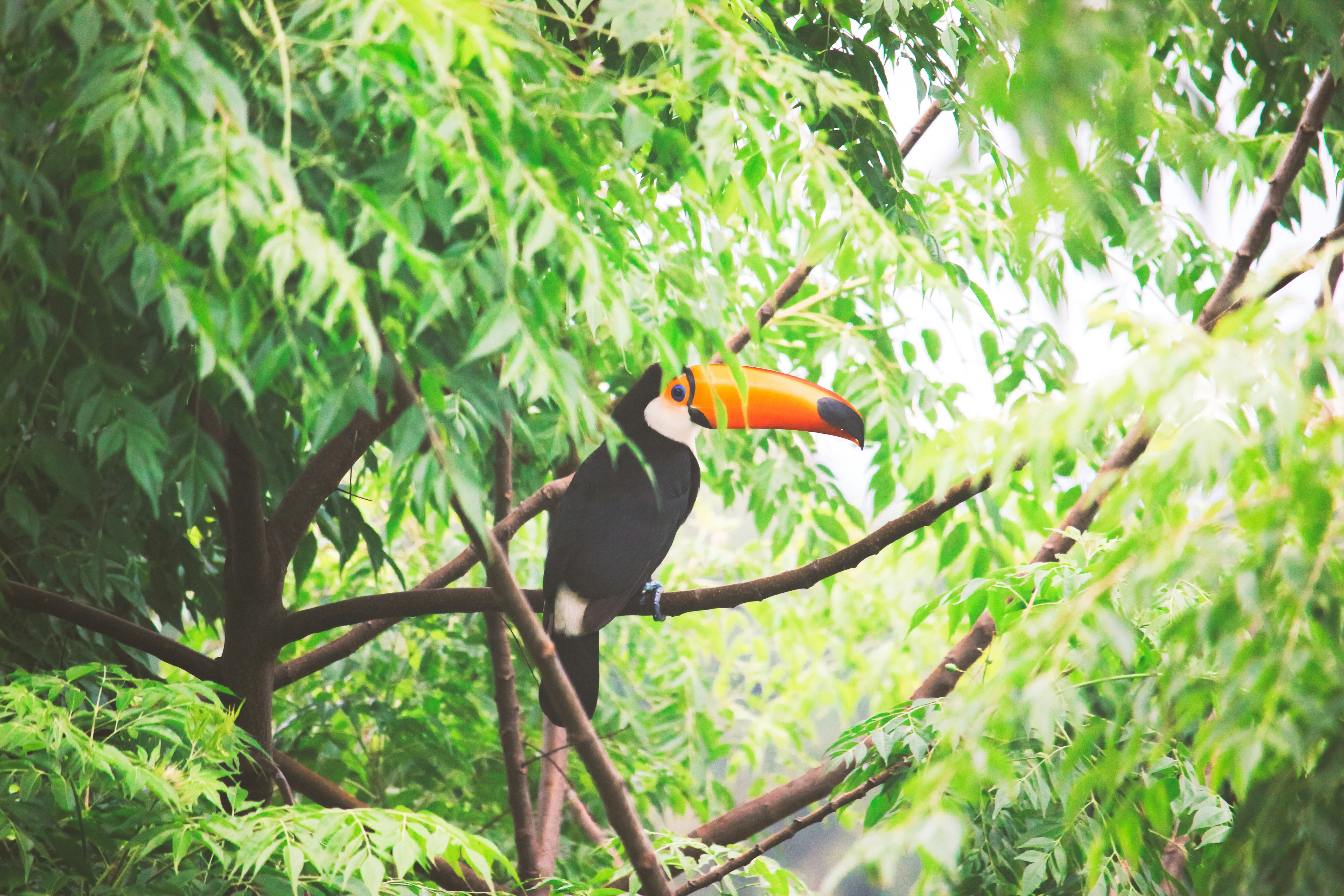 Photo by claudiocmota