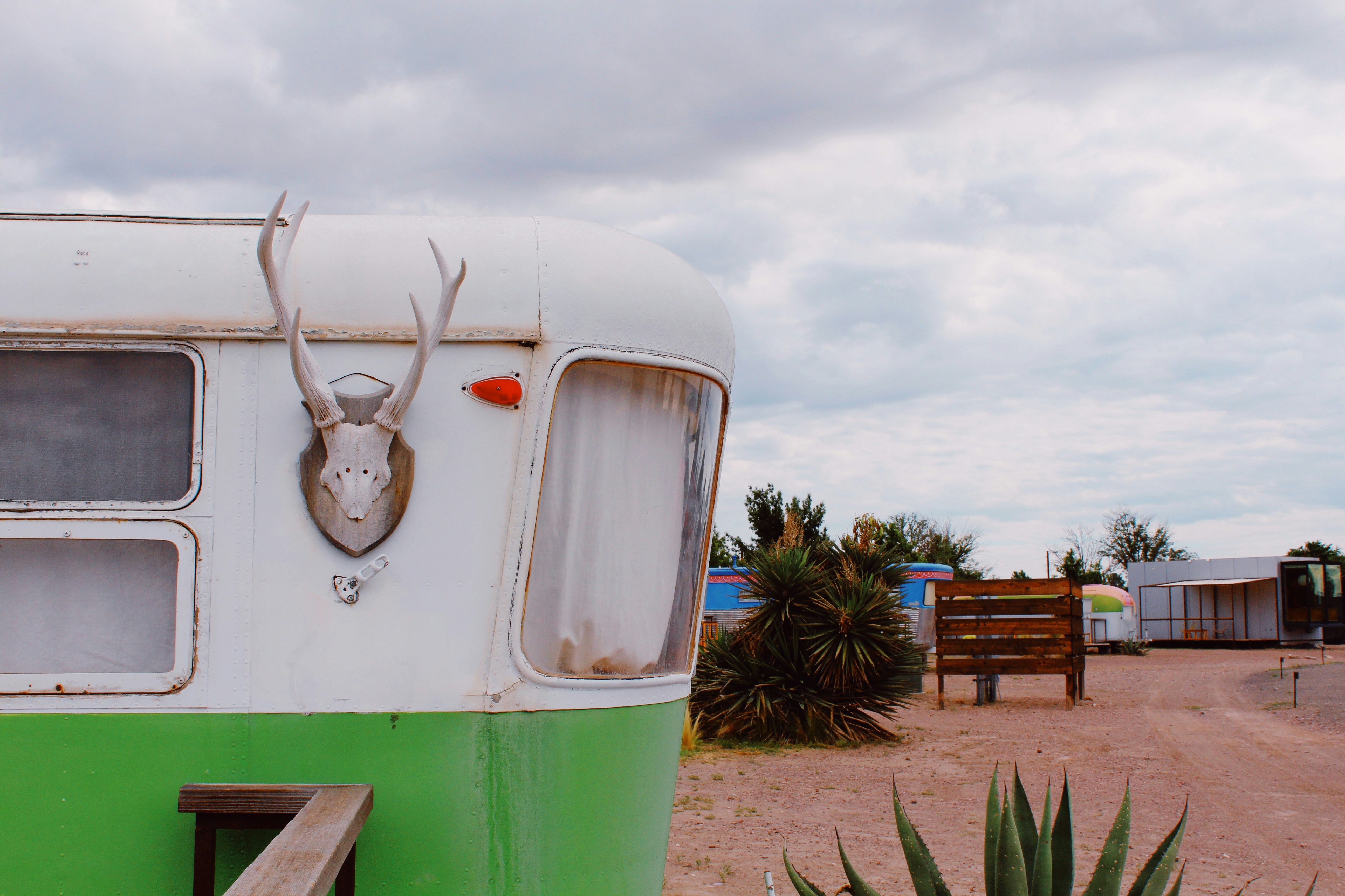 a white vehicle with a deer head