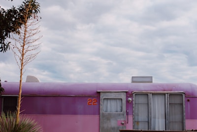 Exterior shot of the vintage airplane trailer adorned with soft pink and sage green floral decorations.