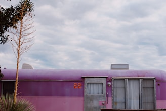 Exterior shot of the vintage airplane trailer adorned with soft pink and sage green floral decorations.