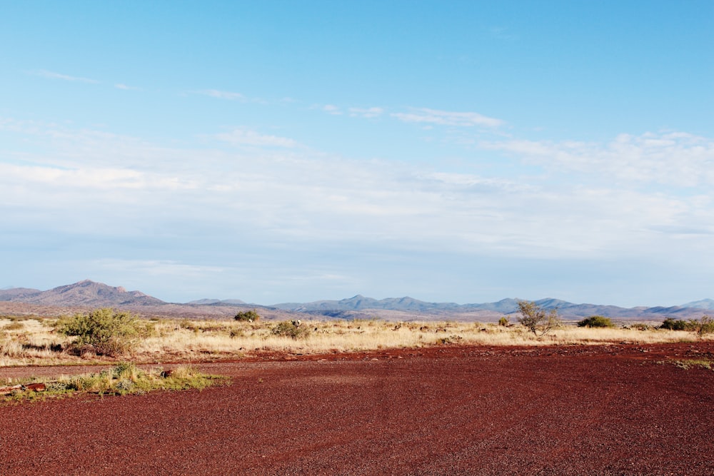 a road in the desert