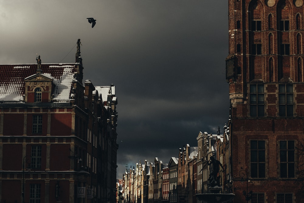 a bird flying over a city