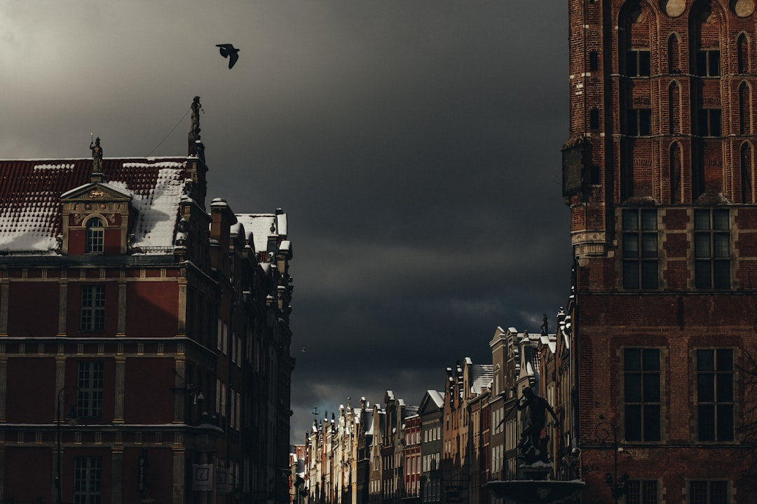 a bird flying over a city,