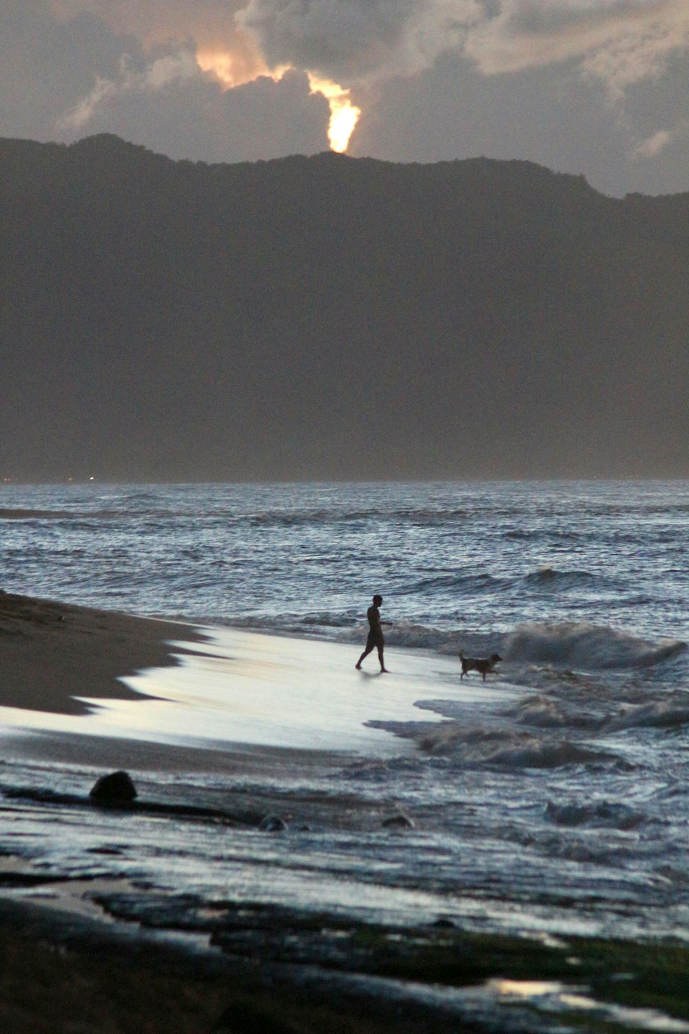 a person and a dog on a beach