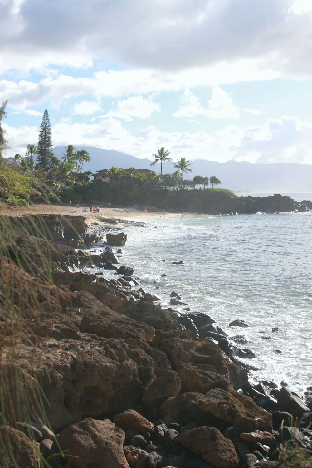 a rocky beach with trees and water