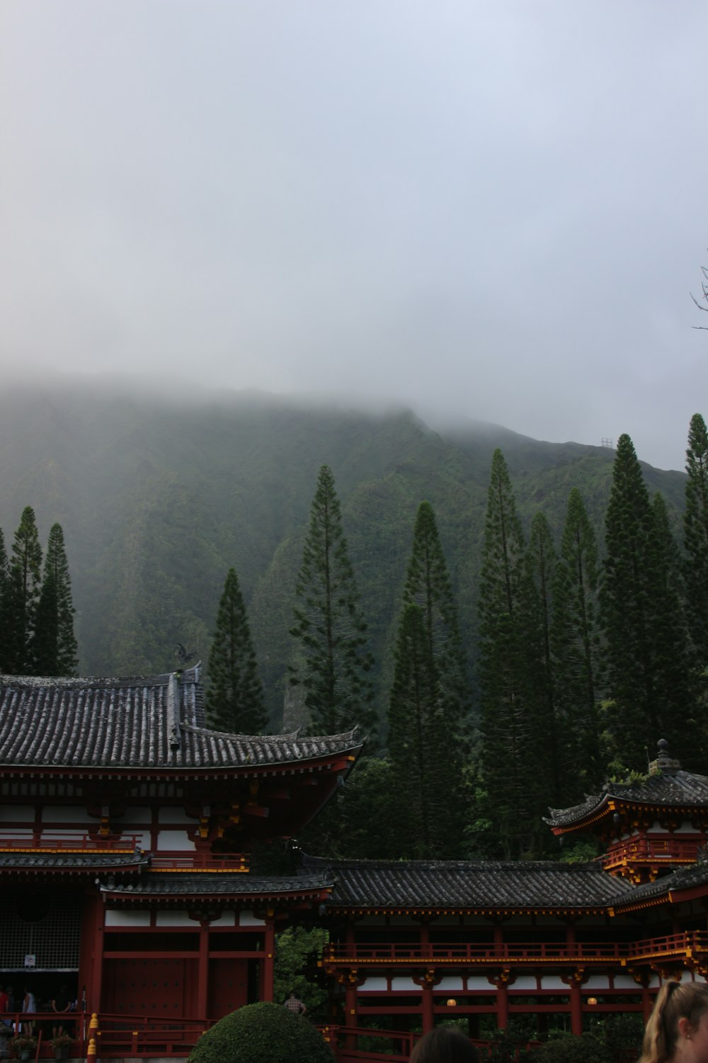 a building with trees in the back