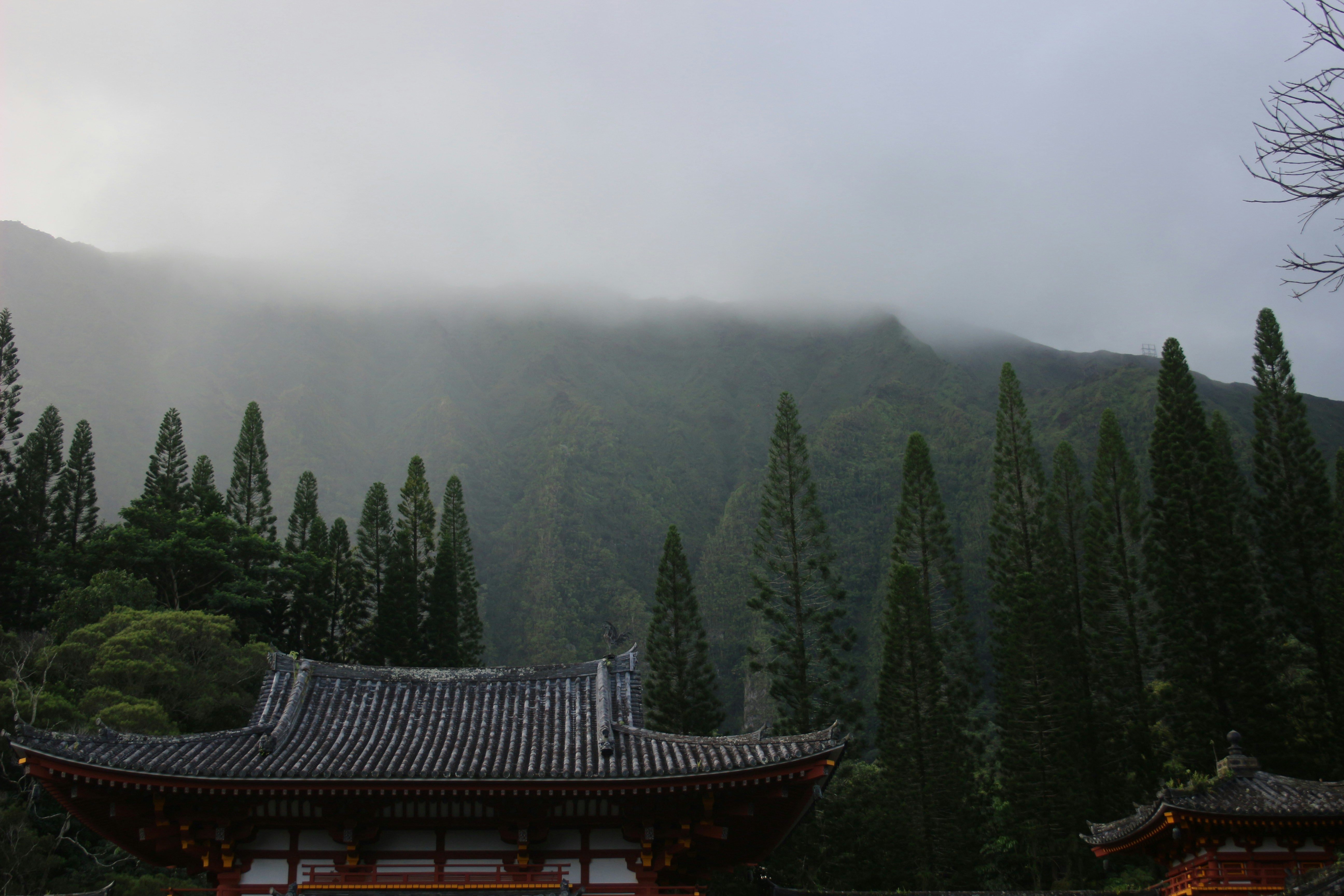 Byodoin Temple photo 3