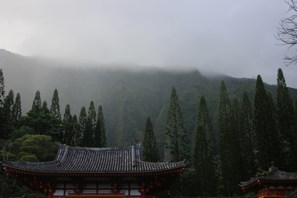 a building with trees in the back