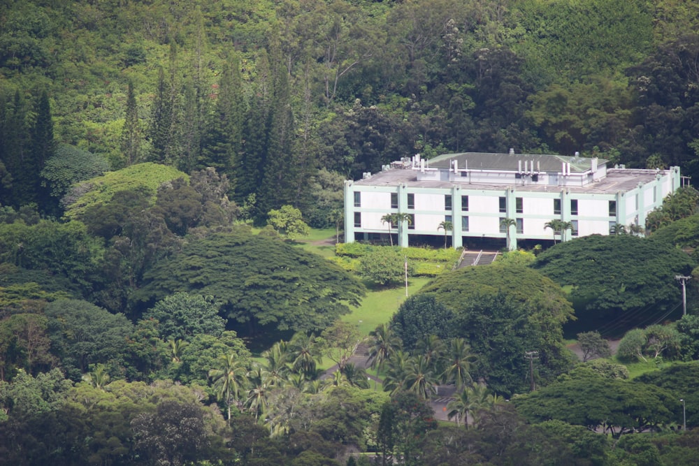 a white building surrounded by trees