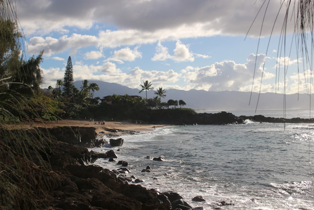 a rocky beach with trees and a body of water