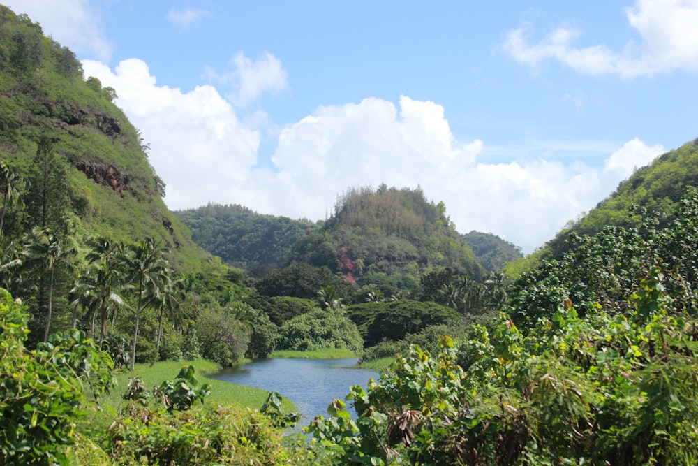 a river surrounded by trees and hills