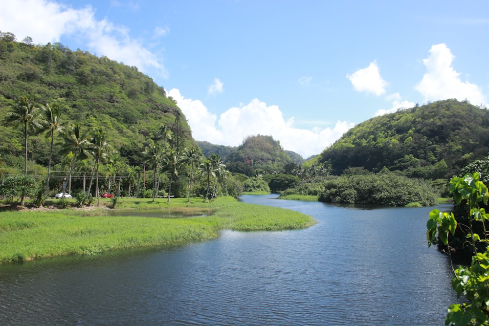 a body of water with trees and grass around it