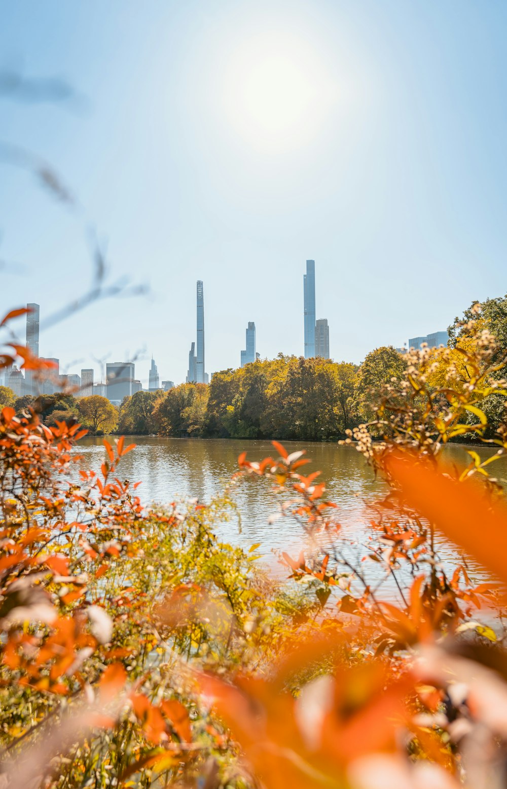 un plan d’eau avec des arbres et des bâtiments en arrière-plan