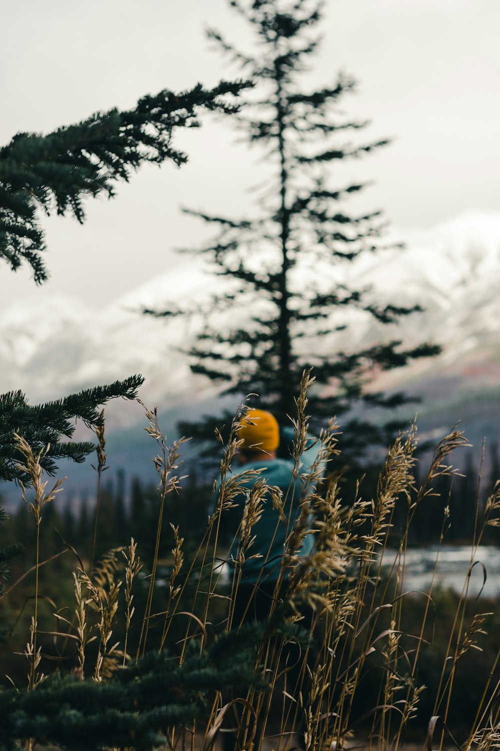 a person in a field of tall grass with a tree in the background