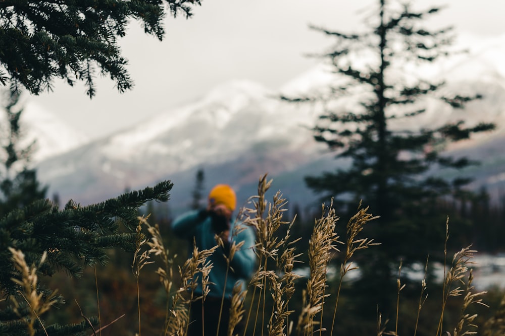 a person in a field of plants