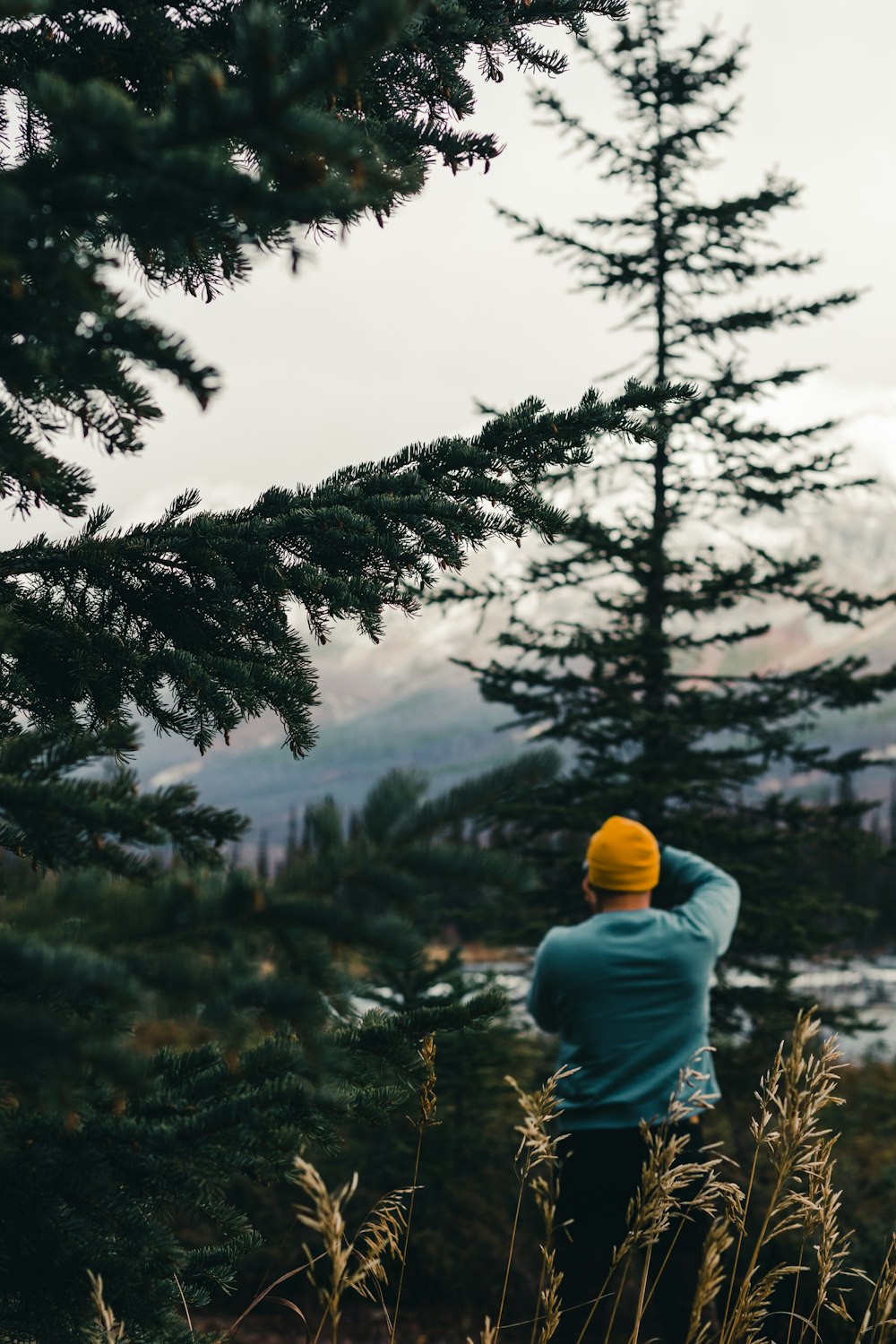 a person standing in a forest