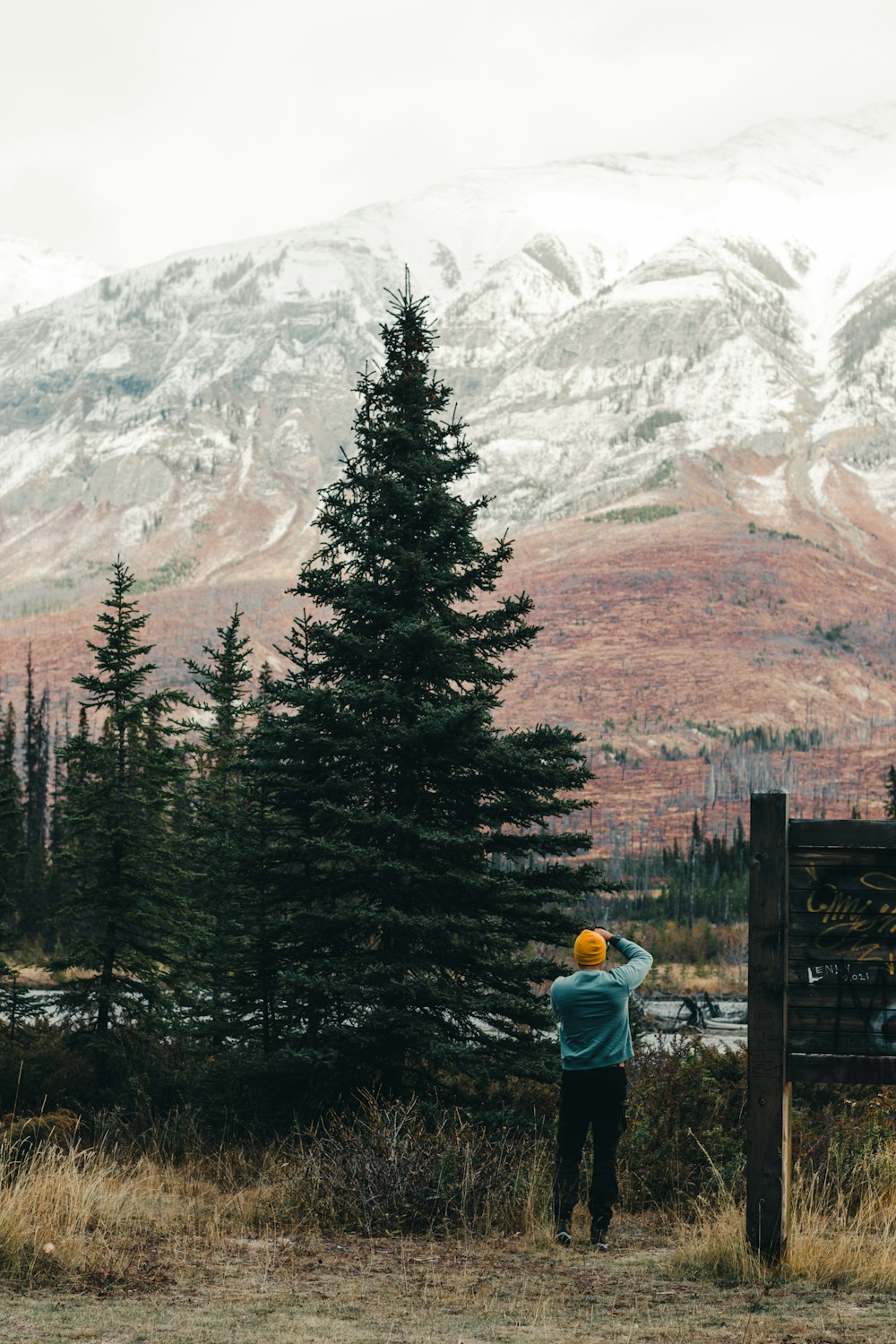 Una persona in piedi su una collina con alberi e montagne sullo sfondo